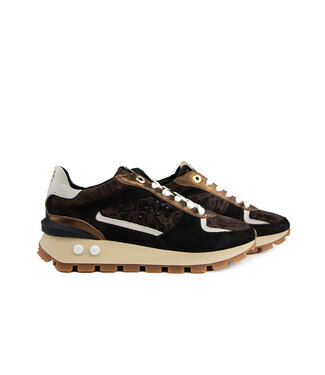 Floris van Bommel Floris van Bommel Blokki 05.07 D.Brown