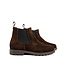 Giorgio Chelsea Boot Boy Chocolate