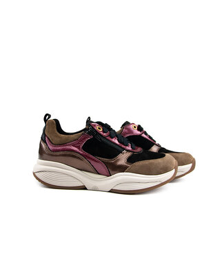 Xsensible Xsensible Sneaker SWX19 HX Camel Combi