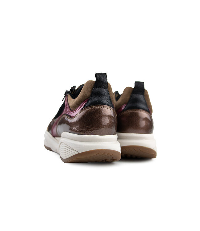 Xsensible Sneaker SWX19 HX Camel Combi