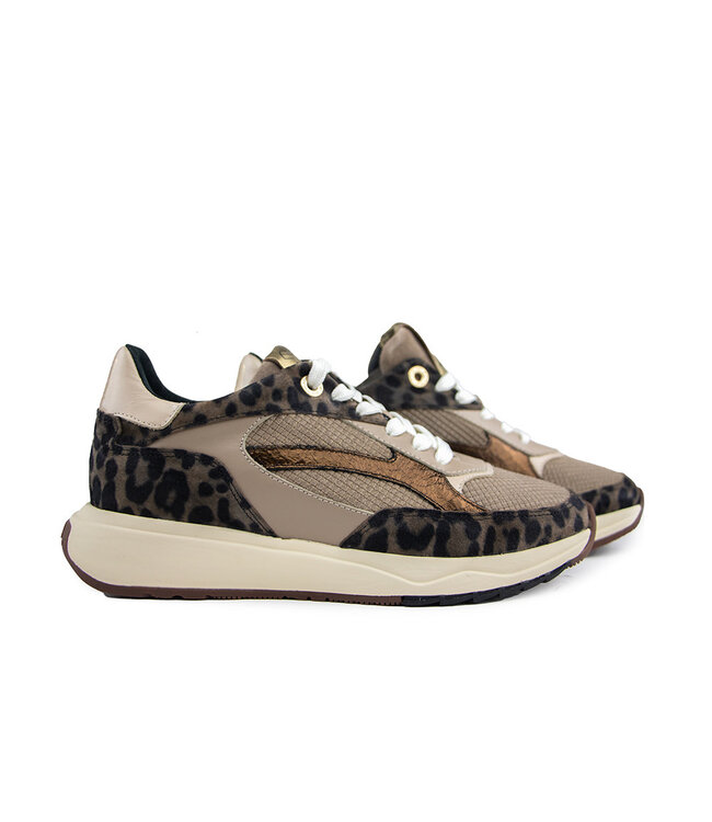 Floris van Bommel Suvi 02.02 Taupe