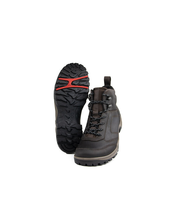 Ecco Xpedition III WP Boot Coffee