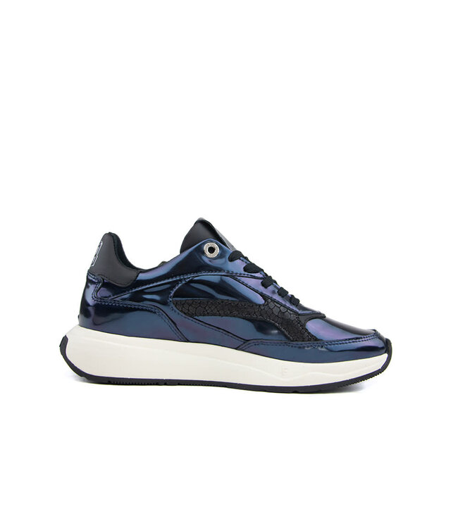 Floris van Bommel Suvi 02.09 Blue