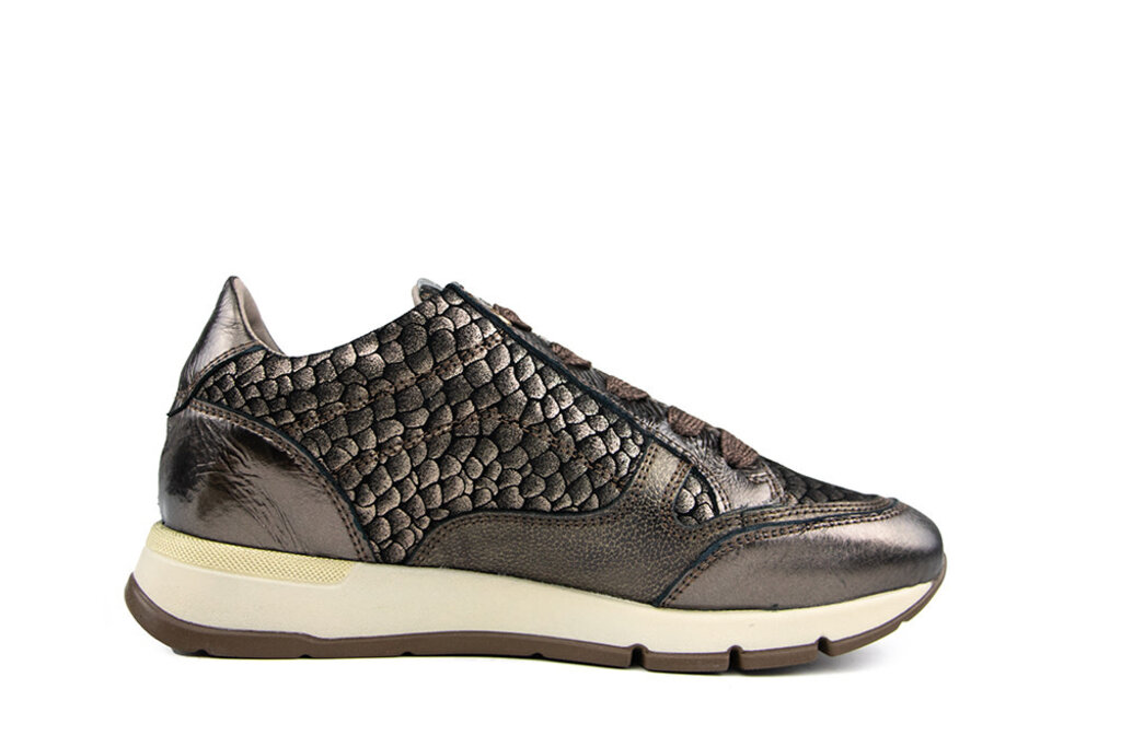 DL-Sport DL Sport Sneaker Siryo Bronzo