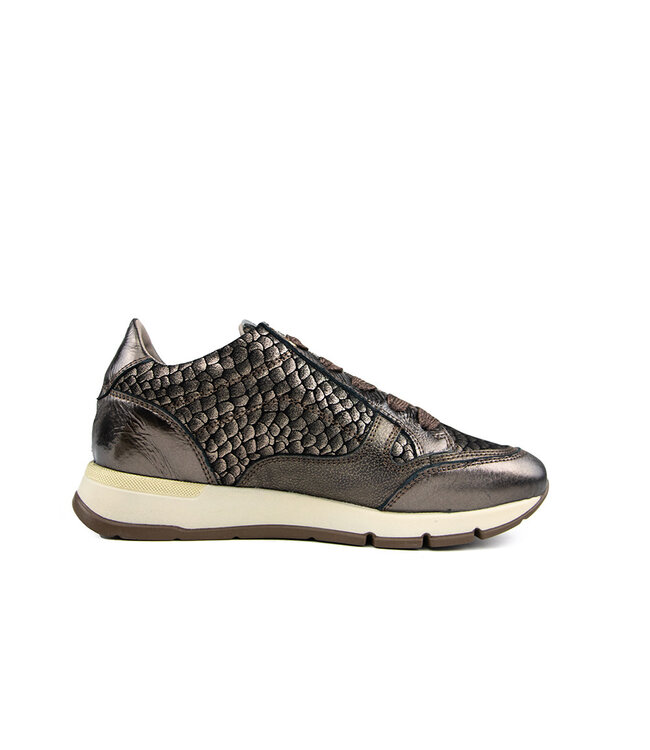 DL Sport Sneaker Siryo Bronzo
