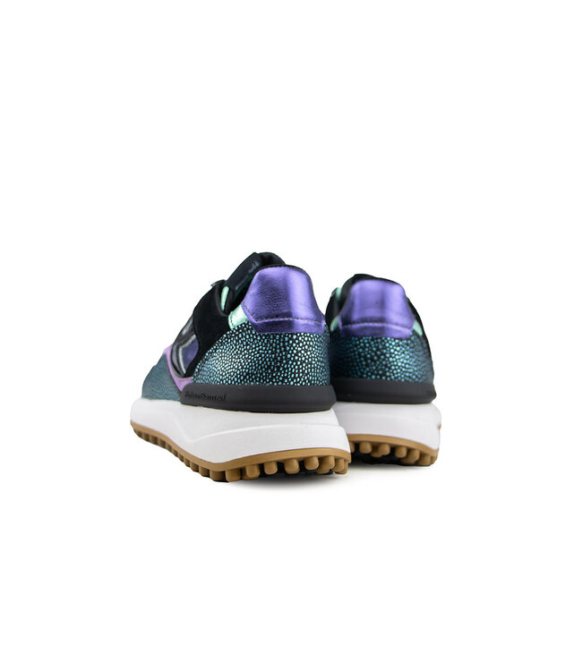 Floris van Bommel Noppi 36.13 L.Blue