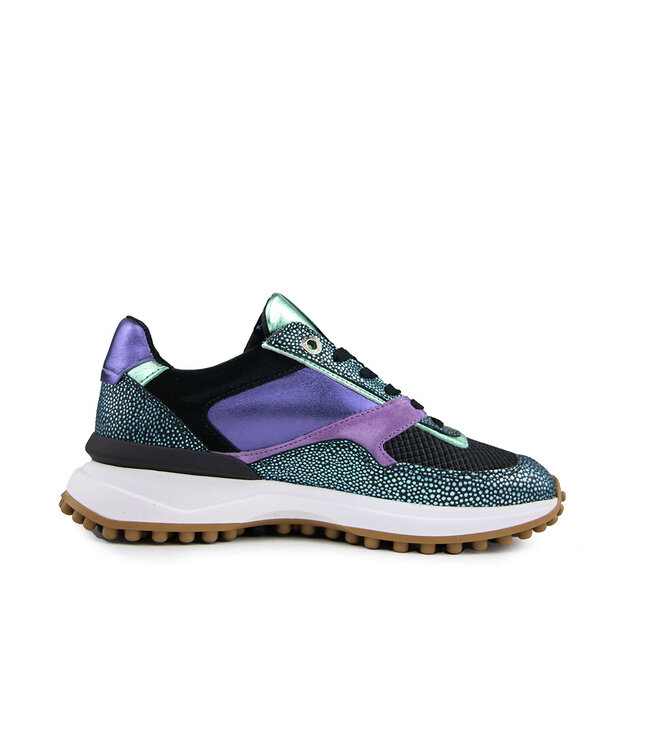 Floris van Bommel Noppi 36.13 L.Blue