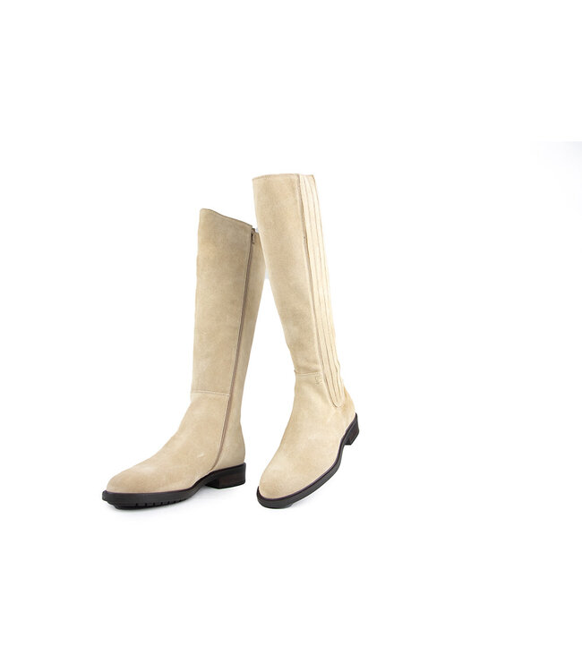 DL Sport Laars Tappo Velour