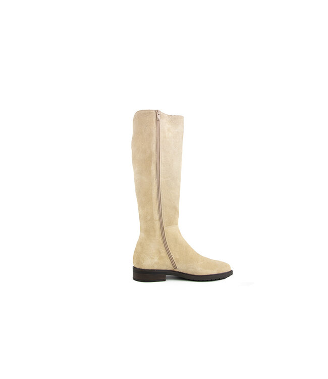 DL Sport Laars Tappo Velour