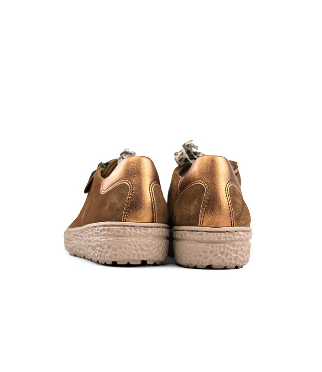 Hartjes Phil Shoe Cognac Tabacco  Velour