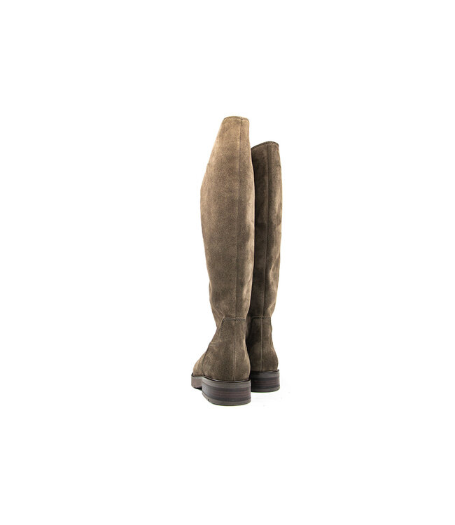 Gabor Laars Engl. Brown Dreamvelour