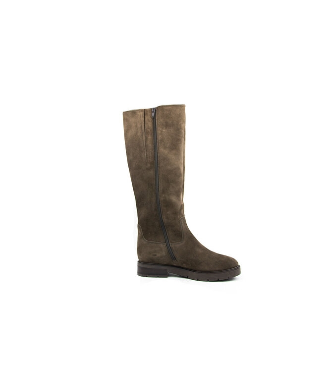 Gabor Laars Engl. Brown Dreamvelour