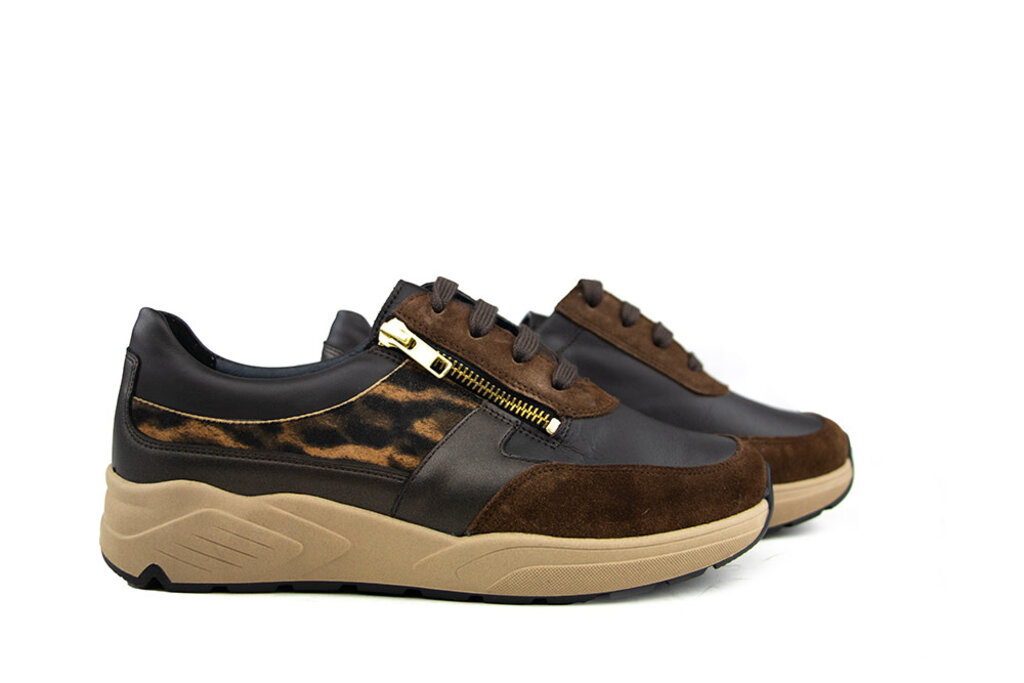 Solidus Solidus Sneaker Mia Fellini Hilton Zibetto