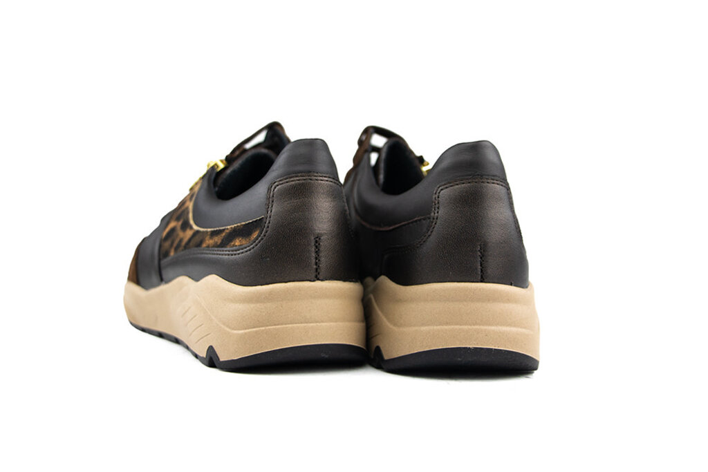 Solidus Solidus Sneaker Mia Fellini Hilton Zibetto