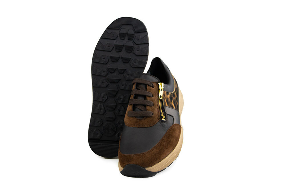 Solidus Solidus Sneaker Mia Fellini Hilton Zibetto