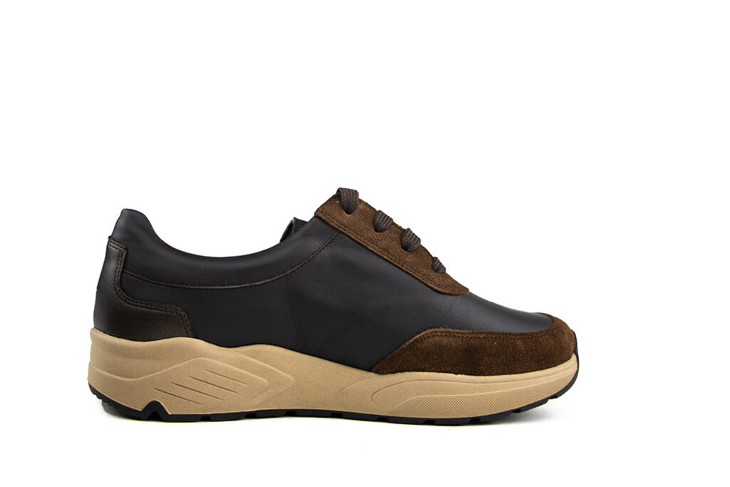 Solidus Solidus Sneaker Mia Fellini Hilton Zibetto