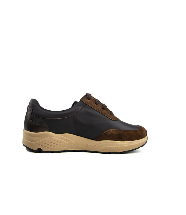 Solidus Sneaker Mia Fellini Hilton Zibetto