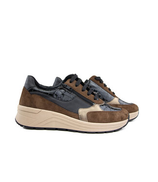 Solidus Solidus Sneaker Karma Caffe Multi Kroko K