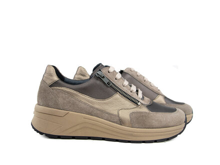 Solidus Solidus Sneaker Karma Hilton Arcadia K Solidus Solidus Sneaker Karma Hilton Arcadia K