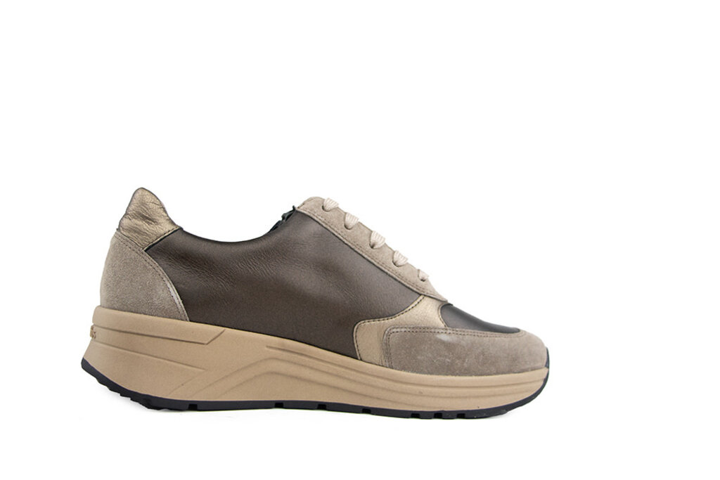 Solidus Solidus Sneaker Karma Hilton Arcadia K