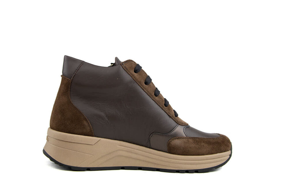 Solidus Solidus Sneaker Karma Hilton Zibetto K