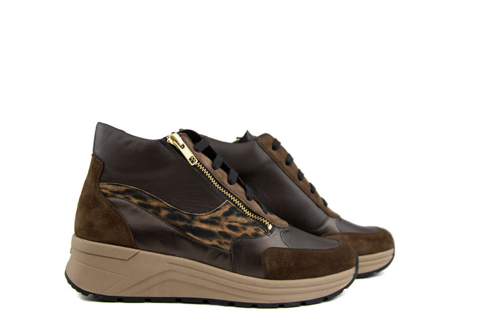 Solidus Solidus Sneaker Karma Hilton Zibetto K