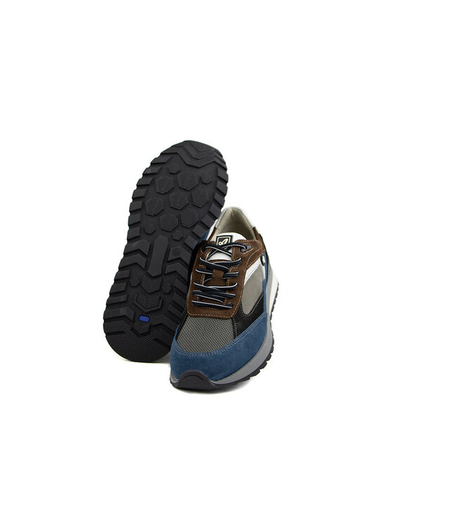 Australian Sneaker Sparrow Grey