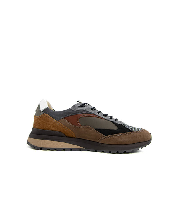 Australian Sneaker Sparrow Taupe