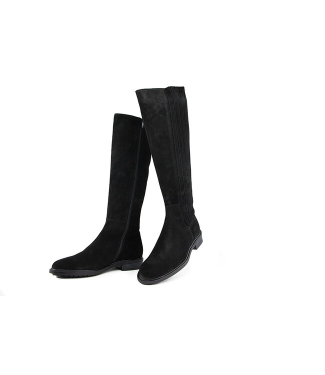 DL Sport Laars Nero Velour