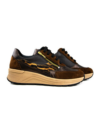 Solidus Solidus Sneaker Holly Hilton Zibetto H