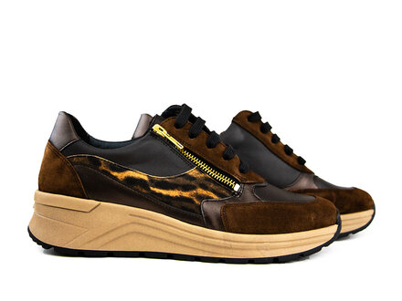 Solidus Solidus Sneaker Holly Hilton Zibetto H Solidus Solidus Sneaker Holly Hilton Zibetto H