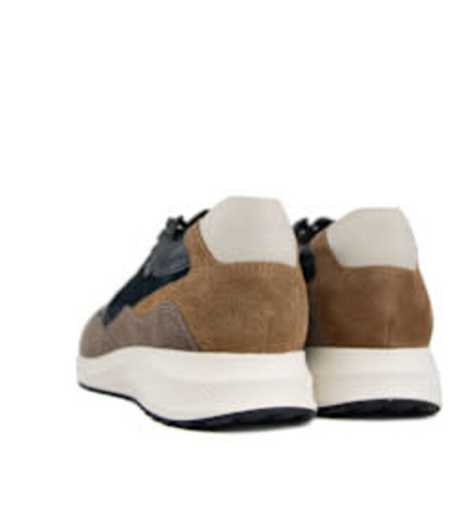 Mephisto Sneaker Driss Warm Grey