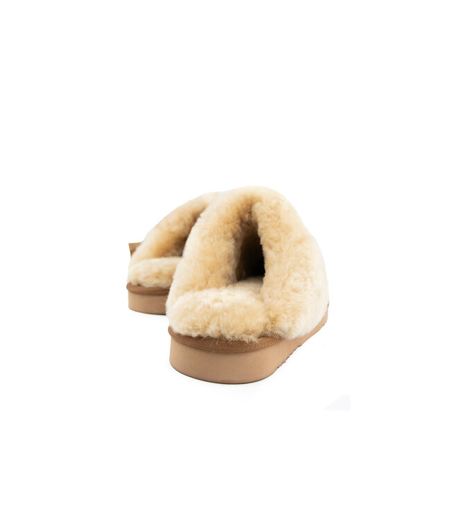 Warmbat Collie Print Panther Chestnut