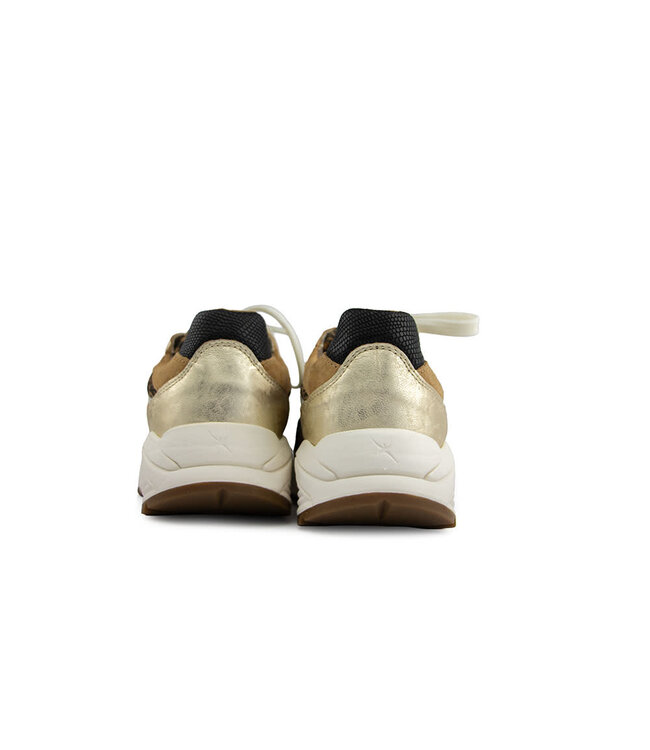 Xsensible Ponte Vecchio G Camel Combi