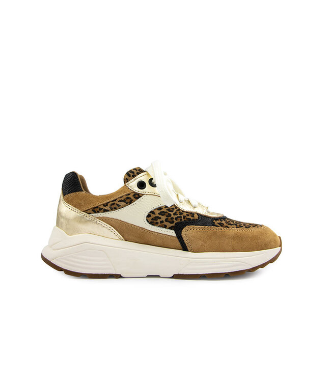 Xsensible Ponte Vecchio G Camel Combi