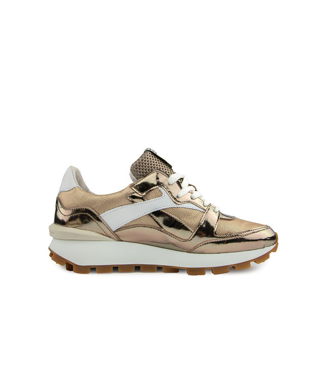 Floris van Bommel Blokki 07.03 Bronz