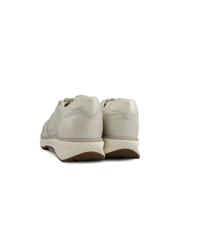 Xsensible New Jersey GX Soft Pearl Combi