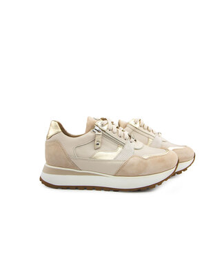 Footnotes Footnotes Sneaker Elke Nappacalf Suede Creme K