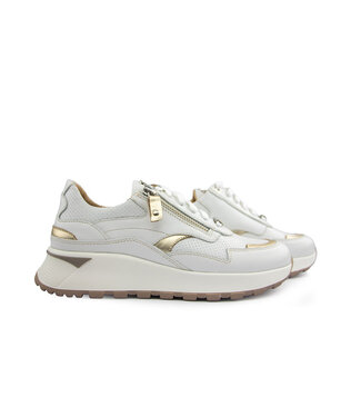 Footnotes Footnotes Sneaker Saar Offwhite Gold H