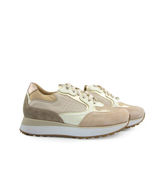 Footnotes Footnotes Sneaker Esmee Calf Metalise Creme H