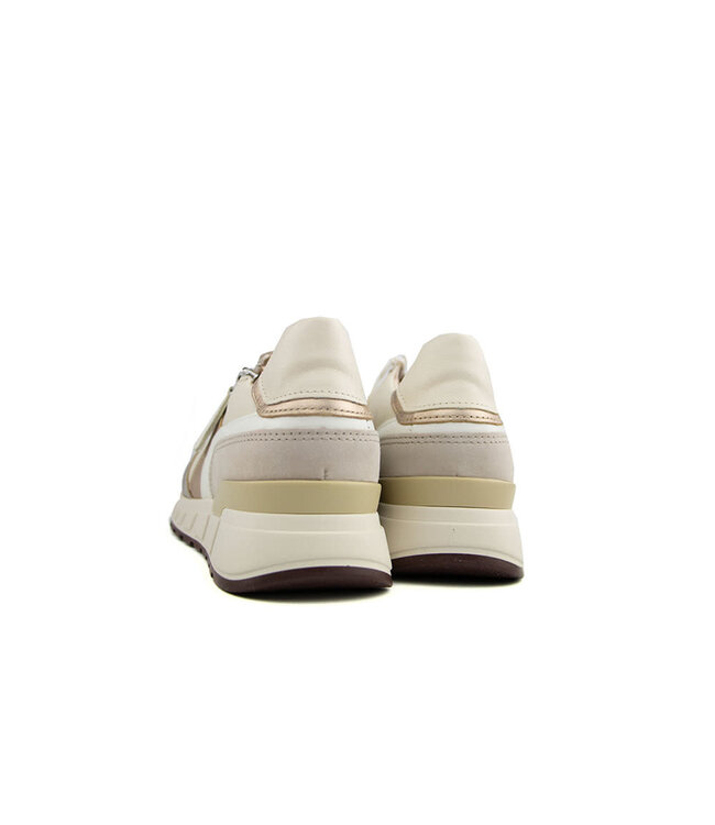 Gabor Sneaker Latte Puder Oak