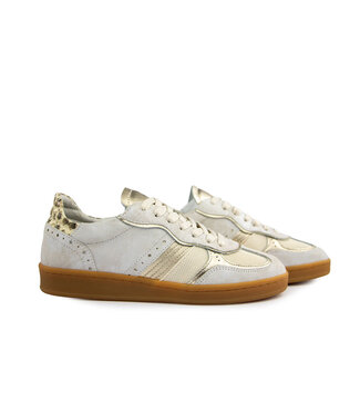 Piedi Nudi Piedi Nudi Sneaker Imola 06.04 Cream Gold H
