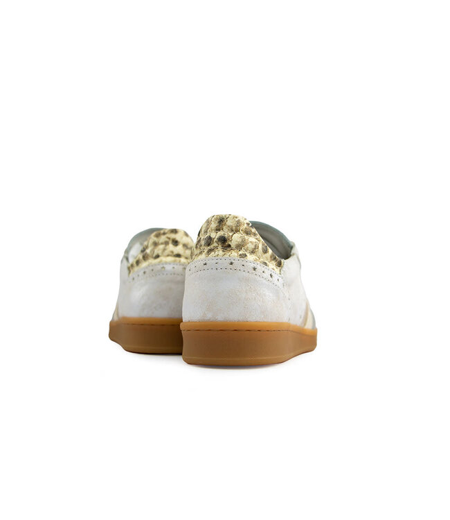 Piedi Nudi Sneaker Imola 06.04 Cream Gold