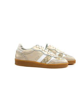 Piedi Nudi Piedi Nudi Sneaker Imola 06.01 Powder Gold H