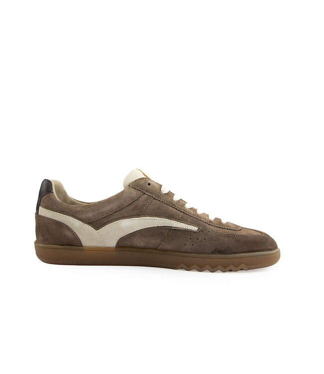 Floris van Bommel De Zaler 01.28 Taupe