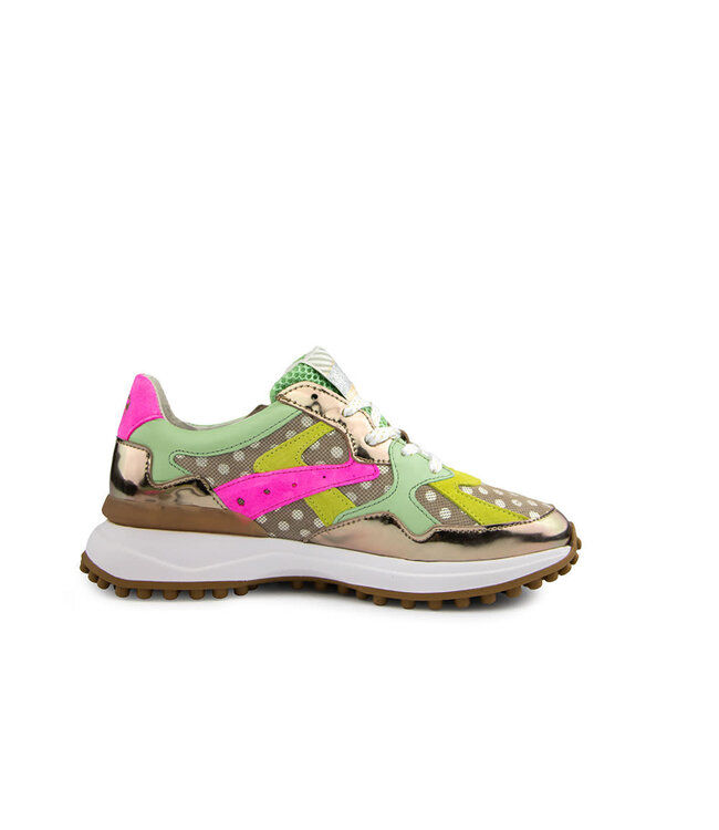 Floris van Bommel Noppi 46.08 Bronz