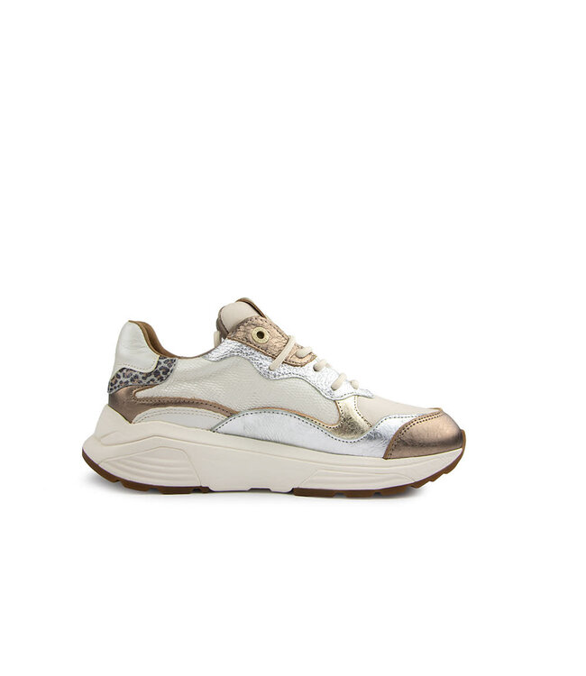 Xsensible Rainbow GX Bronze Combi