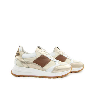 Piedi Nudi Piedi Nudi Sneaker Helen 03.01 Gold Leopard H