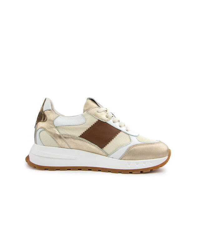 Piedi Nudi Sneaker Helen 03.01 Gold Leopard