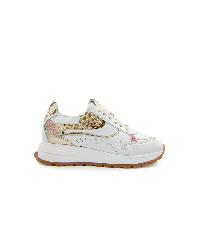 Piedi Nudi Sneaker Mirren 02.02 White Snake